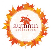 秋の紅葉,葉っぱ,フレーム飾り,円サークル ベクターイラスト素材