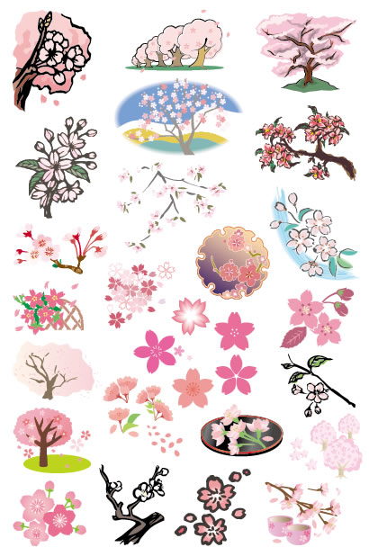 桜,さくら,サクラ ベクターイラスト素材