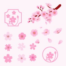 桜の花 ベクターイラスト素材