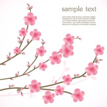 桜の花,かわいい ベクターイラスト素材